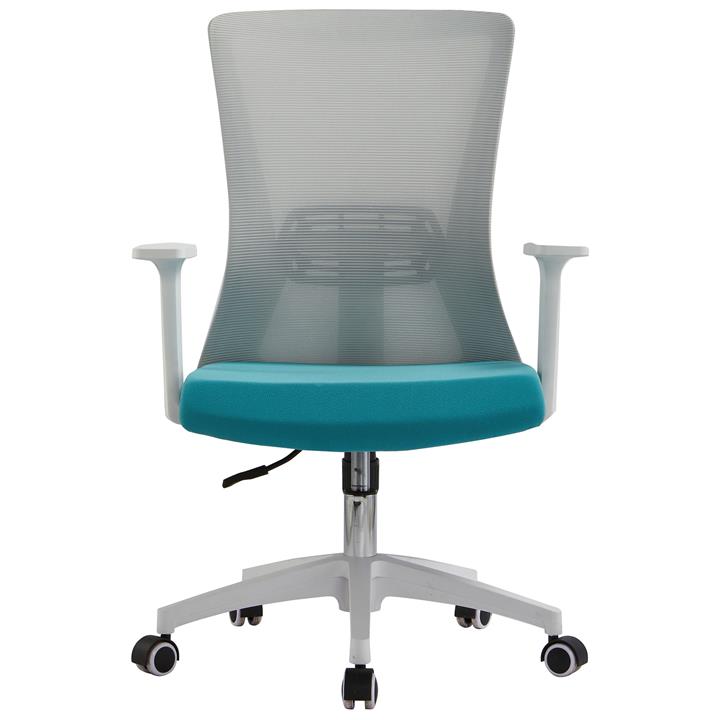 Hingis Mesh Fabric Ergonomic Office Chair, White / Aqua by Emporium
