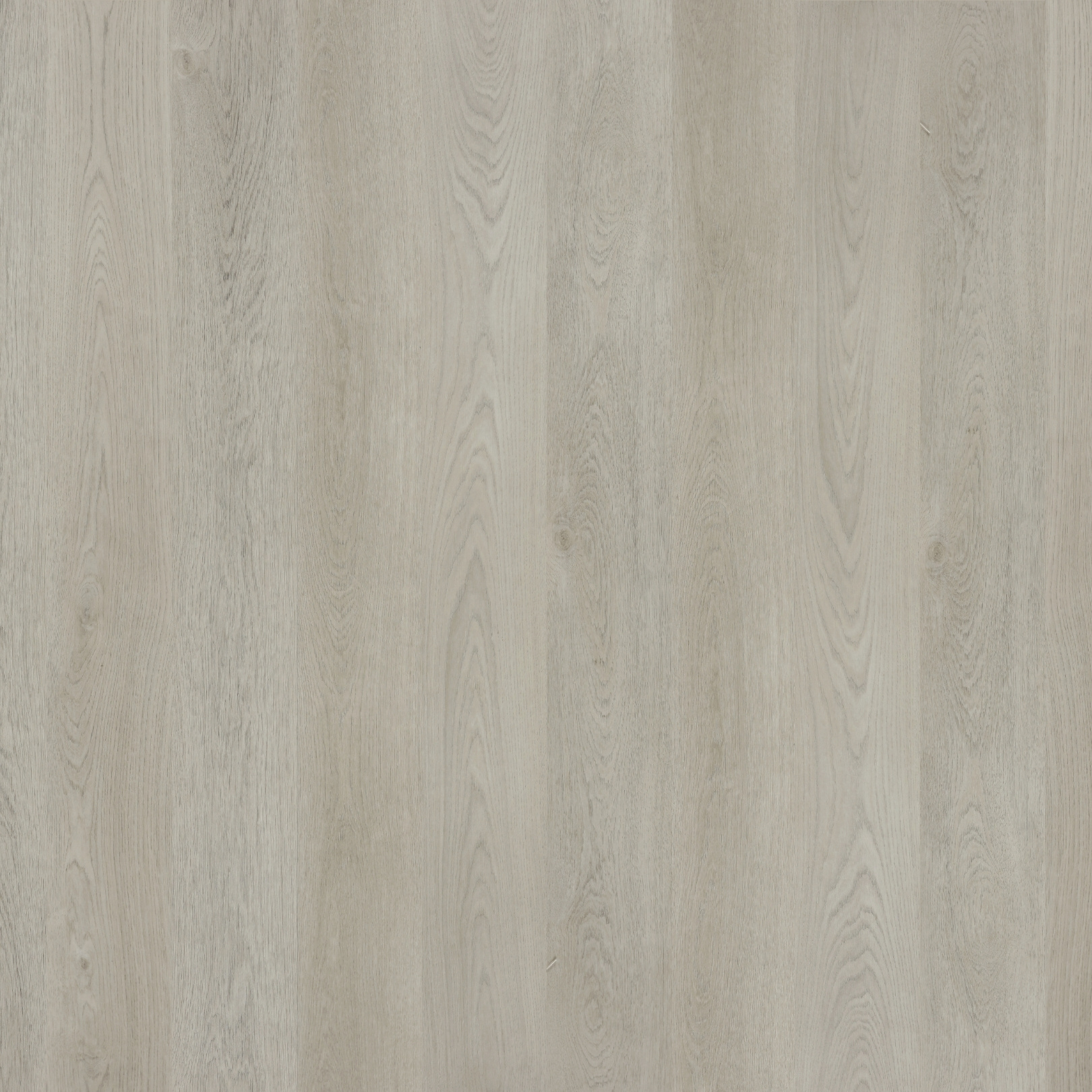 Pebble Grey by Avala - Style Sourcebook