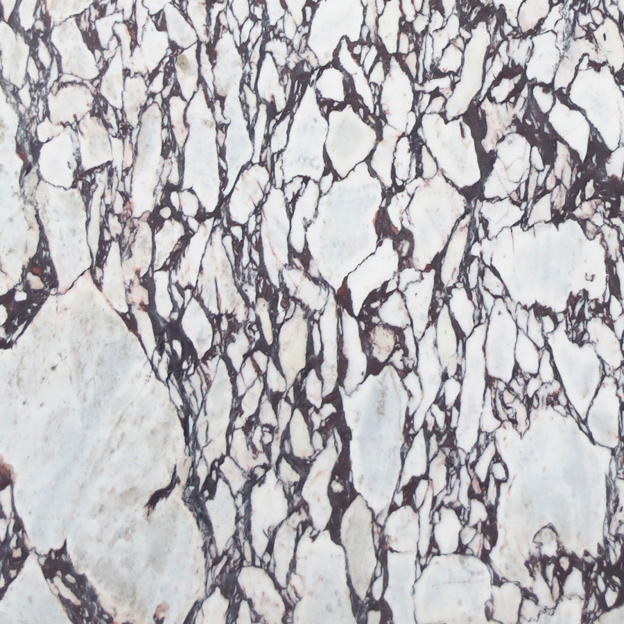 Calacatta Viola Marble by CDK Stone - Style Sourcebook
